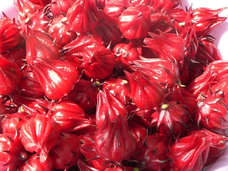Hồng hoa
