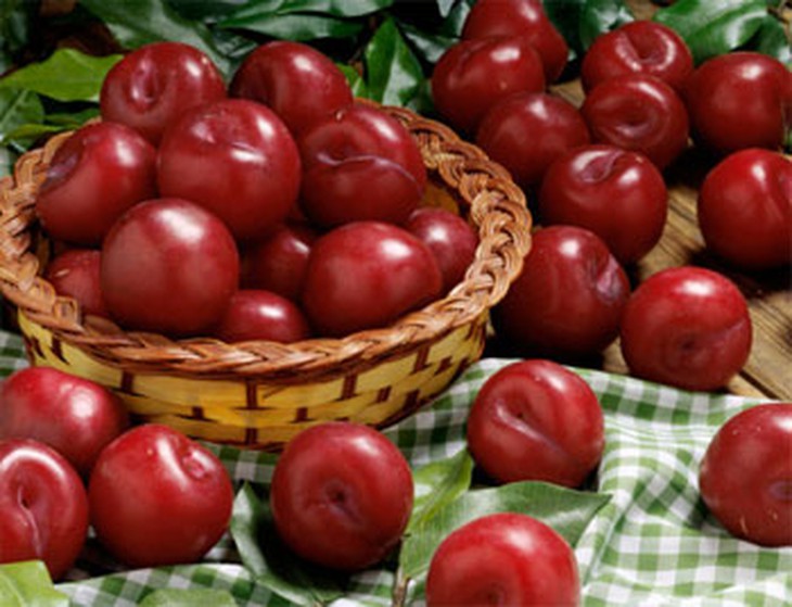 Mận trị đầy bụng, khó tiêu