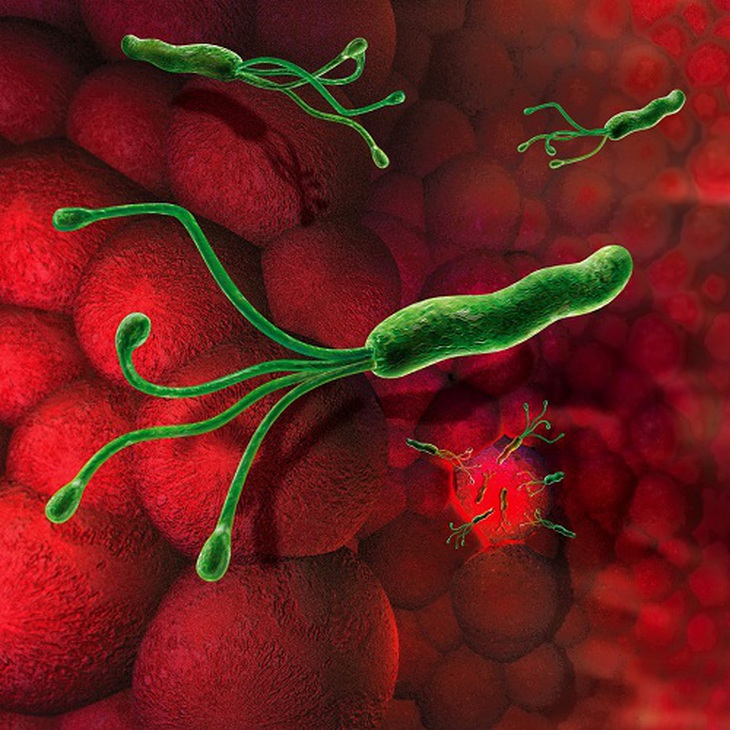 Helicobacter Pylori