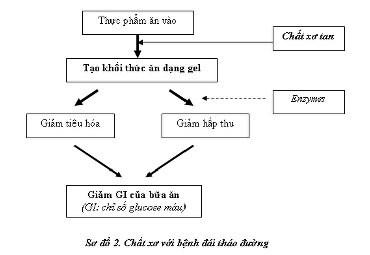 chat-xo-voi-benh-dai-thao-duong