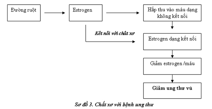 chat-xo-voi-benh-ung-thu