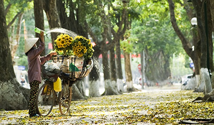 Sớm mùa thu.