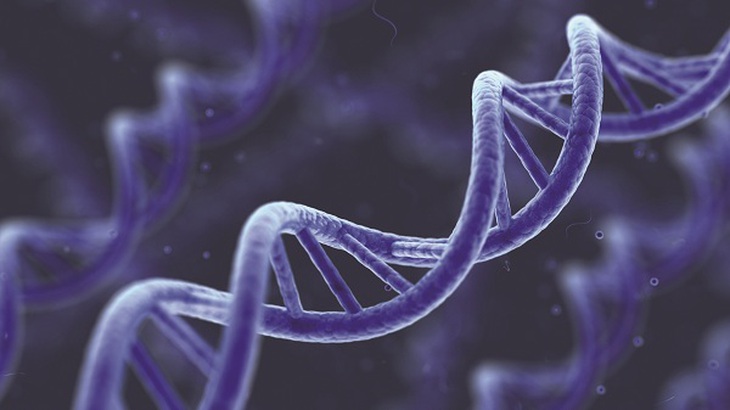 BRCA thực chất là gen gây ức chế khối u, giúp bảo đảm tính ổn định của ADN và ngăn cản tế bào tăng trưởng không kiểm soát