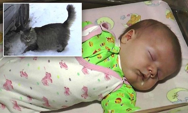 mèo, cứu người, bé bị bỏ rơi, ủ ấm