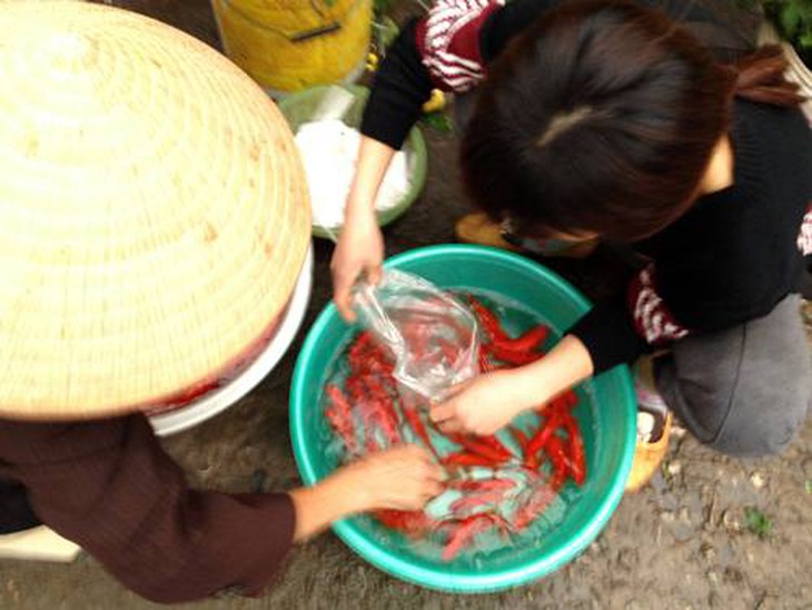 ông Công, ông Táo, Tết