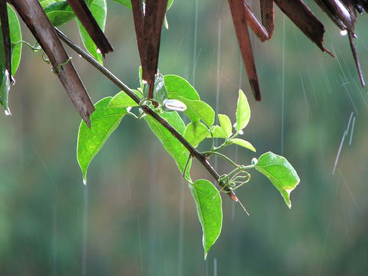 Miền Bắc, mưa dông, kết thúc, nắng nóng