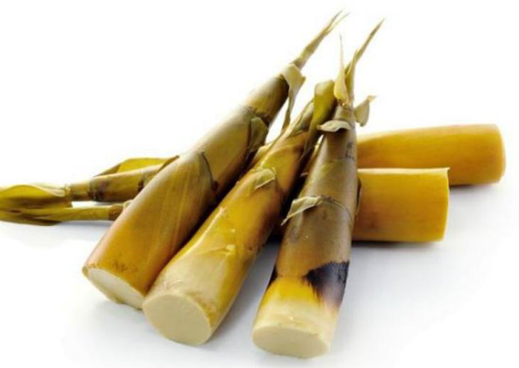 Bambooshoot-9540-1424240547.jpg