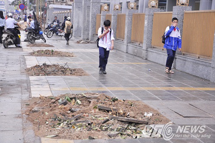 Con đường đẹp nhất Việt Nam nham nhở sau khi chặt hạ nhiều cây xanh