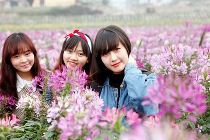 Thung lũng hoa tuyệt đẹp này nằm ở ngã ba đường Nhật Chiêu - Công Viên Nước Hồ Tây.