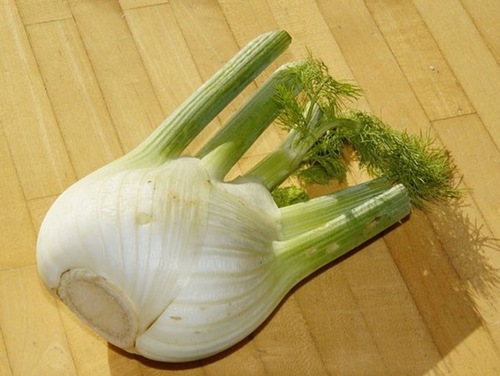 Cây thì là. Thảo dược này có chứa một hàm lượng cao các chất flavonoid và do đó rất hữu ích trong việc tăng lượng estrogen trong cơ thể người phụ nữ. Những hạt cây thì là cũng có tác dụng như chất kích thích và thuốc bổ. Những hạt giống này đóng một vai trò tuyệt vời trong sự hình thành của các tế bào mới và các mô trong ngực, mà có thể làm tăng kích thước của chúng.
