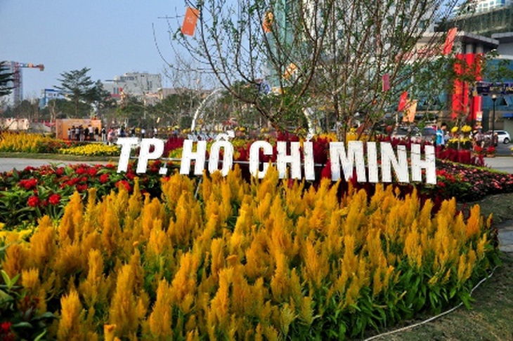 Đào Nhật Tân khoe sắc giữa Đà Thành