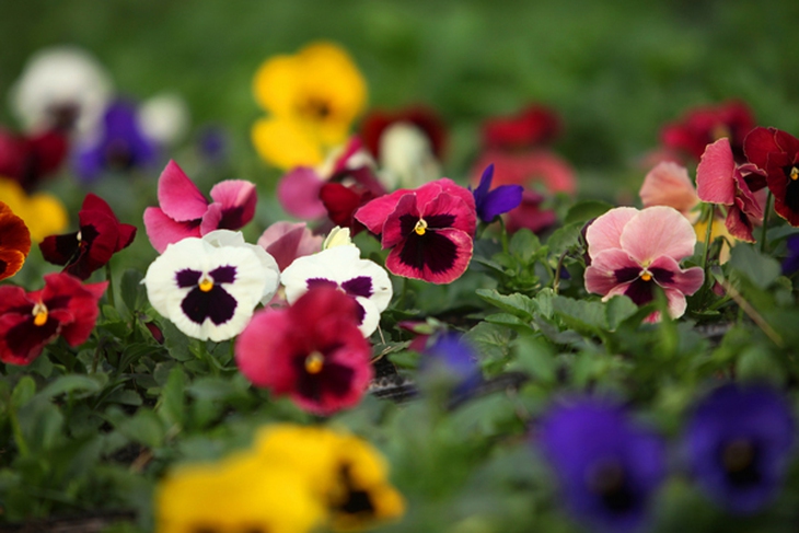 XQ2-9353-1422262000.jpg
