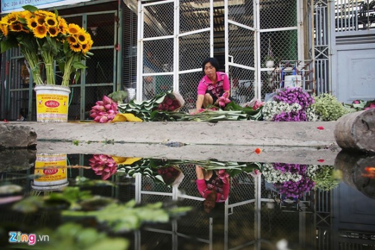 Hà Nội rực rỡ mùa hoa sen 
