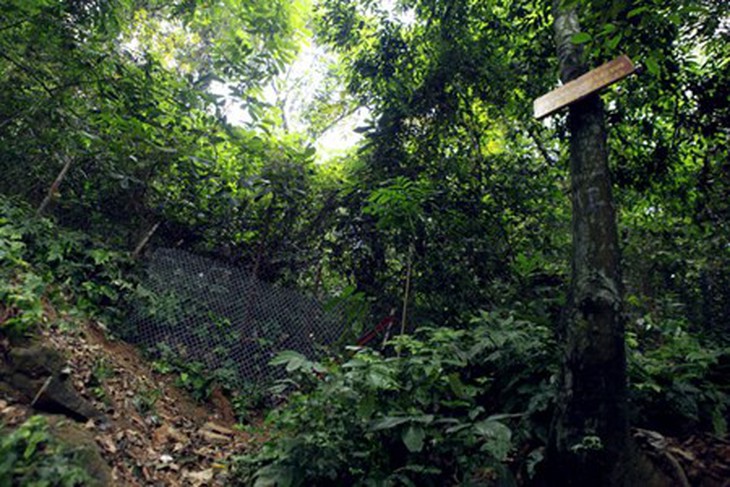 Le hoi Den Hung: Chang luoi B40 de chong di tat