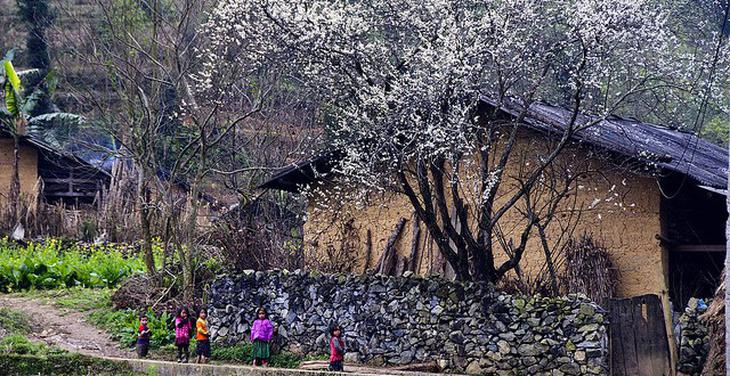 Lên lịch cho chuyến khám phá Việt Nam trong 12 tháng