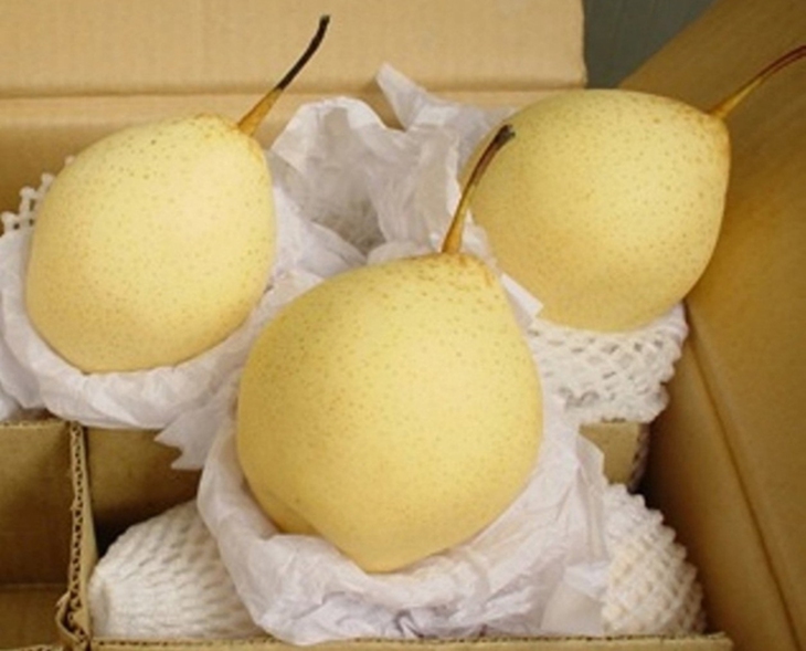 Qua-Le-7499-1422951515.jpg