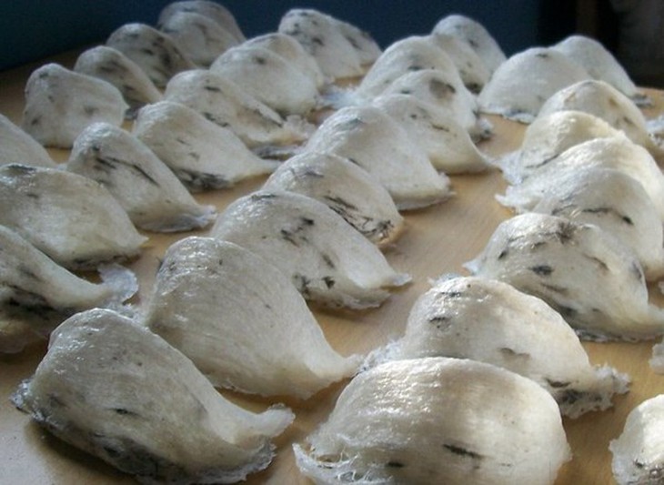 bò viên, thịt thối, thịt gà, đậu nành, hương liệu, yến sào, đồ chơi, Trung Quốc, rau sạch, trái cây, điều hòa, thu phí, bò-viên, thịt-thối, thịt-gà, đậu-nành, hương-liệu, yến-sào, đồ-chơi, Trung-Quốc, rau-sạch, trái-cây, điều-hòa, thu-phí