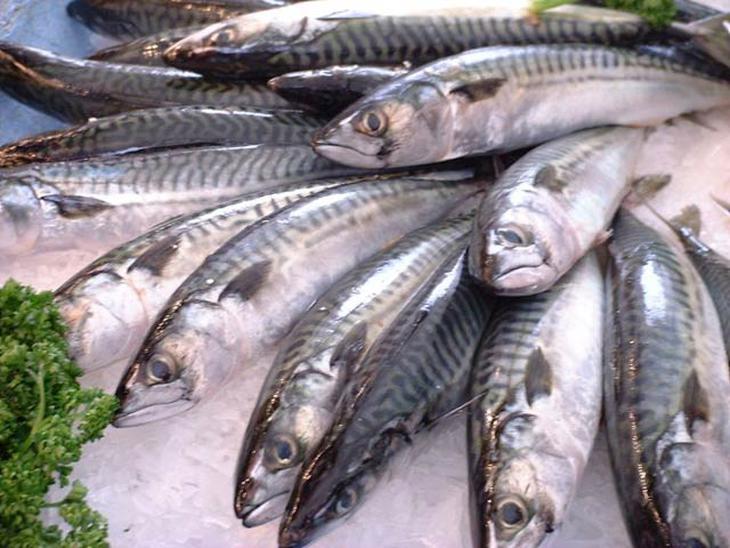 chất độc, thực phẩm, thực phẩm bẩn