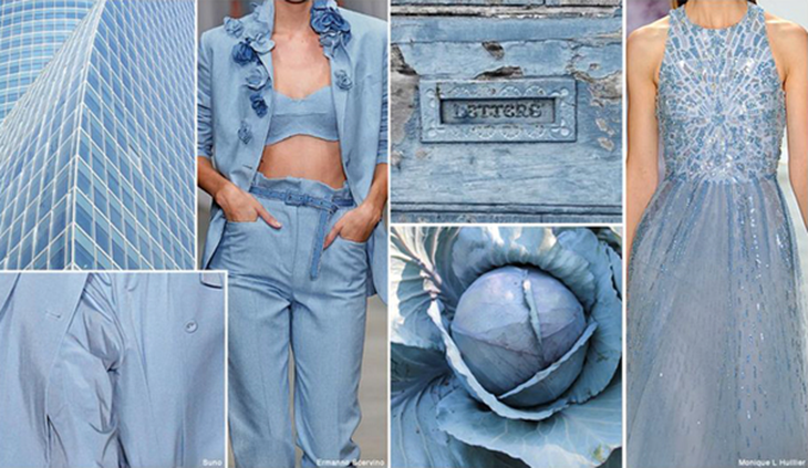 2-BlueHydrangea-8882-1425977919.png