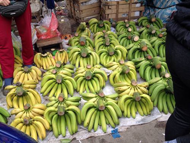 ông Công, ông Táo, Tết