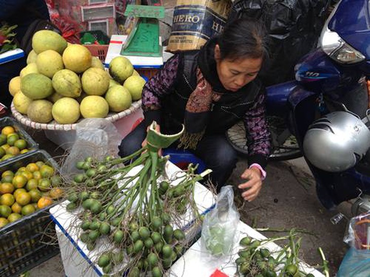 ông Công, ông Táo, Tết