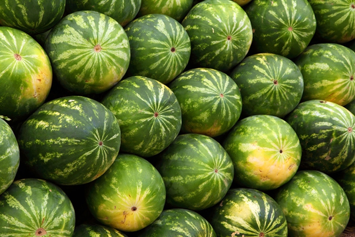 Dưa hấu vỏ cứng thì ruột giòn ngon.