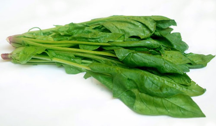 rau quả có lợi 7
