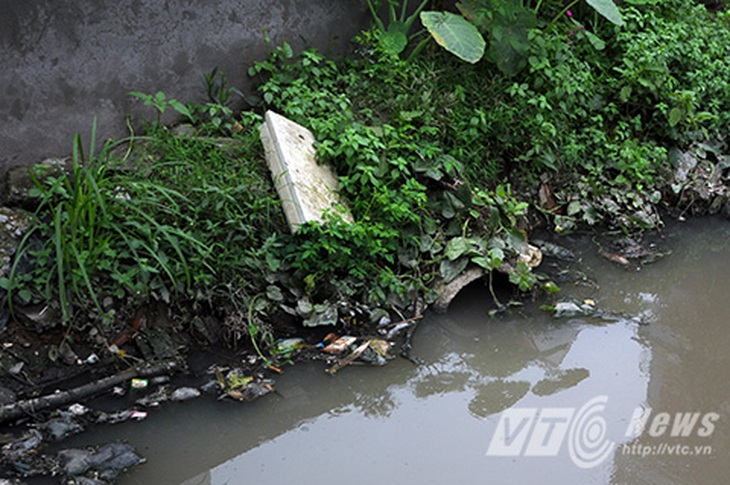 Rùng mình với cảnh muỗi bao vây nhà dân giữa lòng Hà Nội