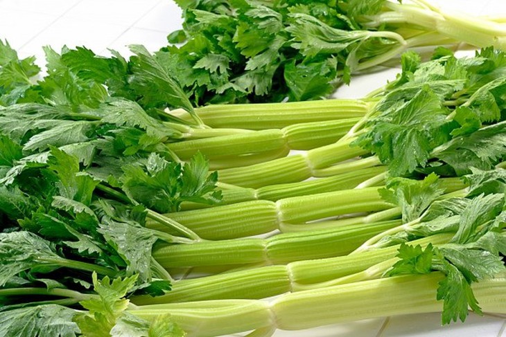 Rau cần tây - cây gia vị, cây thuốc chữa nhiều bệnh.