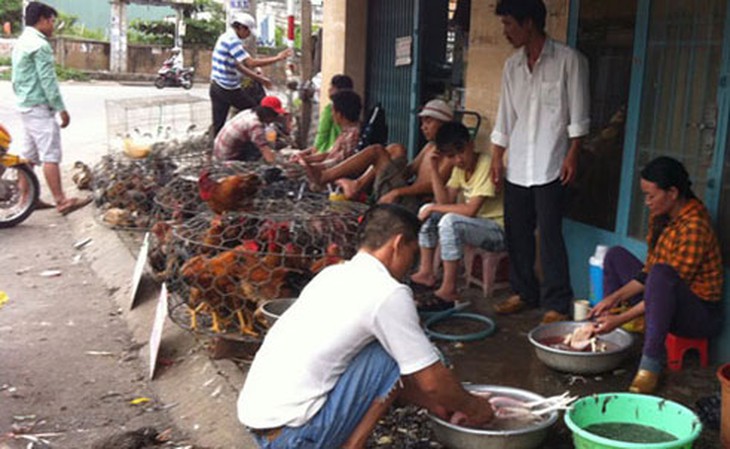 Những cơ sở giết mổ gia súc, gia cầm không đảm bảo vệ sinh an toàn thực phẩm sẽ bị xử phạt nghiêm
Ảnh Internet