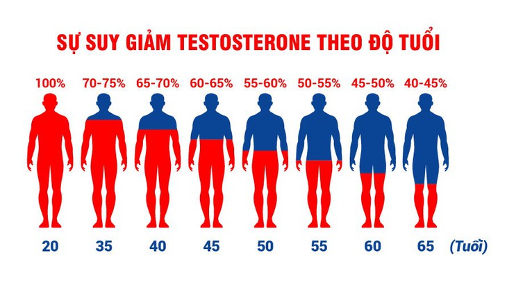 Quý ông cần “vaccine” gì để hỗ trợ phòng tránh mãn dục sớm? - Ảnh 1.