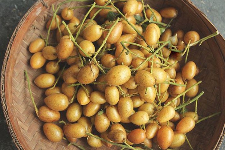 3 vị thuốc nam hỗ trợ trị viêm họng hiệu quả, rẻ tiền, dễ kiếm - Ảnh 2.