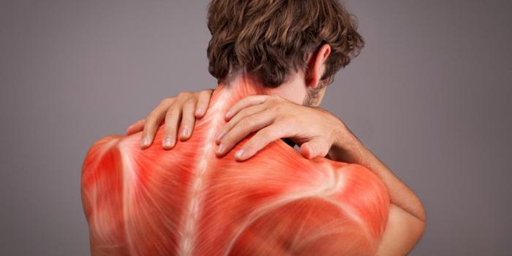 Thuốc mới nhắm mục tiêu loại bỏ kháng thể gây bệnh nhược cơ - Ảnh 1.