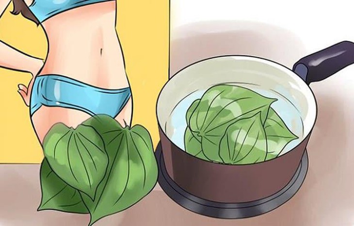 Tinh dầu trầu không - Chiết xuất thiên nhiên lành tính với công dụng kháng khuẩn - Ảnh 2.