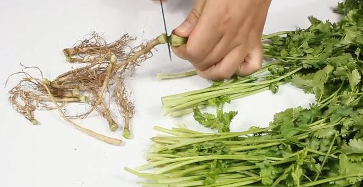 3 thứ tưởng bỏ đi nhưng lại là thần dược chống ung thư, tiếc là chúng ta toàn vứt bỏ - Ảnh 1.