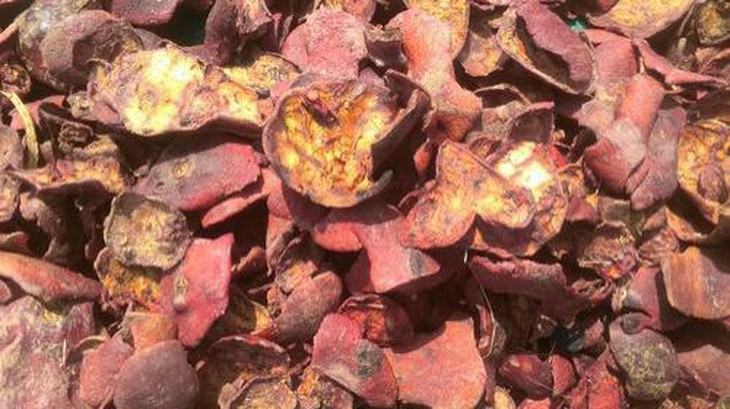 photo-1634018930122
