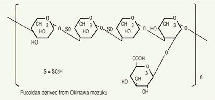 photo-1634030044477