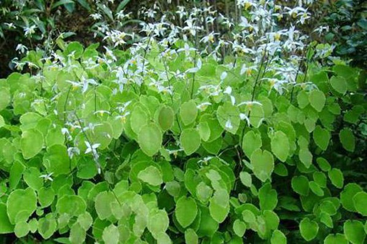 photo-1634050150943