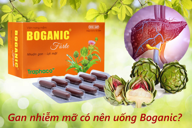Gan nhiễm mỡ có nên uống thuốc bổ gan ? - Ảnh 3.