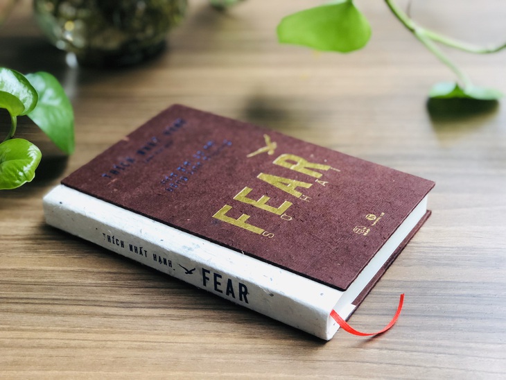 Thiền sư Thích Nhất Hạnh gửi thông điệp bình tâm trong ‘Fear - sợ hãi’ - Ảnh 6.