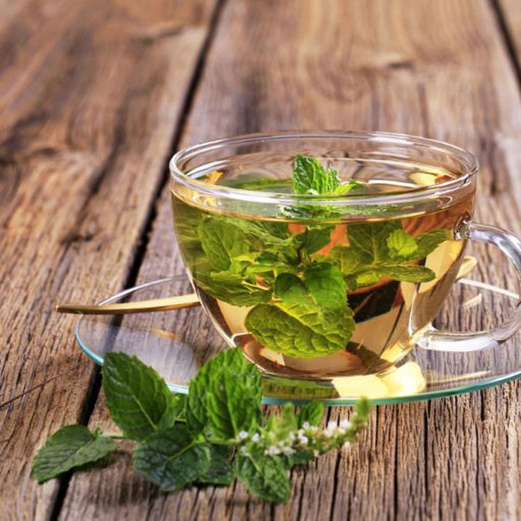 Bạc hà – vị thuốc giải cảm, hạ sốt, giảm đau - Ảnh 2.
