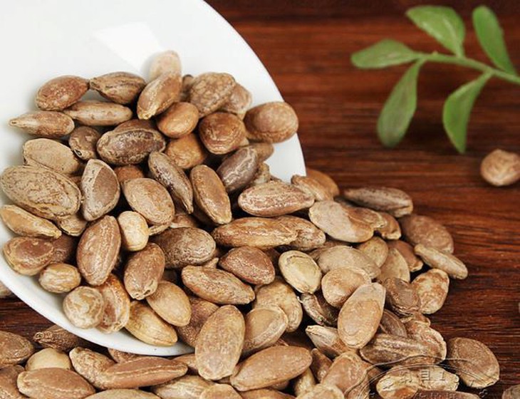 Bài thuốc cổ phương trị ho đàm do phế táo - Ảnh 2.
