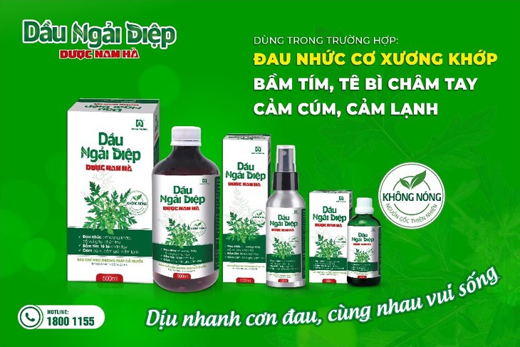 Giải pháp hỗ trợ người bị đau nhức xương khớp từ ngải cứu - Ảnh 2. Giải pháp hỗ trợ người bị đau nhức xương khớp từ ngải cứu - Ảnh 2.