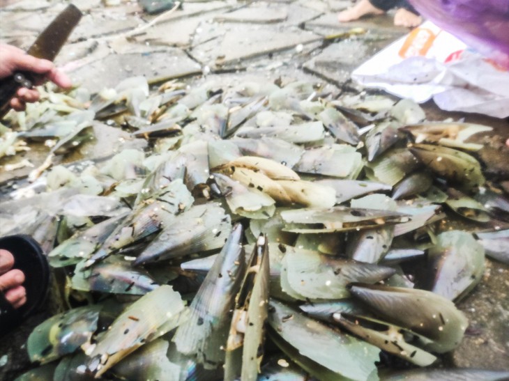 Người dân Hà Tĩnh ra biển vớt "lộc trời" giữa mưa rét - Ảnh 3.