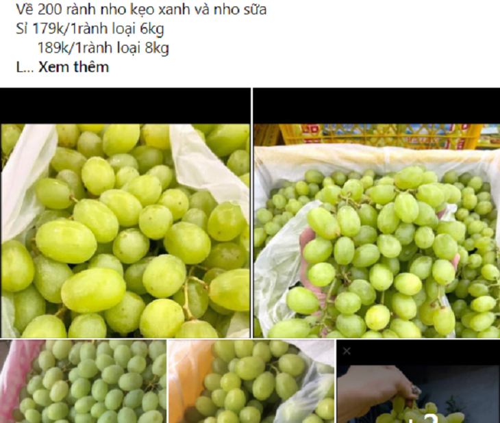 Nho Trung Quốc "làm mưa, làm gió" thị trường chợ hoa quả online, chị em tấp nập mua về phơi khô nguyên cành