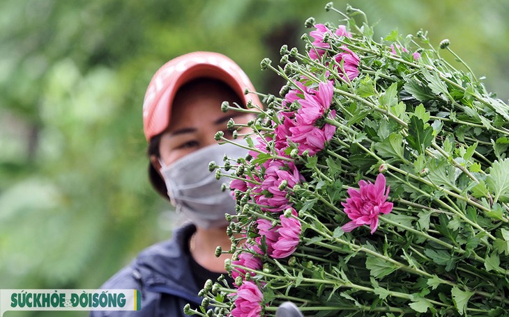 Làng hoa Tây Tựu phấn khởi sau thời gian dài nghỉ dịch COVID-19