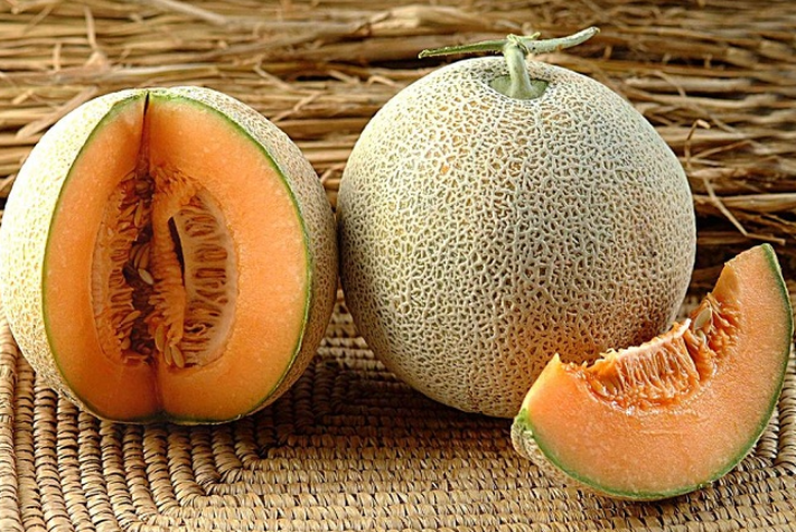 Vi khuẩn gây sảy thai có trong quả dưa lưới thơm ngon, mẹ bầu nên thận trọng - Ảnh 1. Vi khuẩn gây sảy thai có trong quả dưa lưới thơm ngon, mẹ bầu nên thận trọng - Ảnh 1.