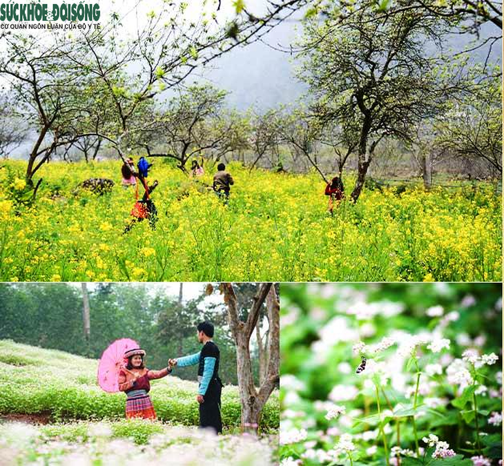 Nghệ An đón khách du lịch an toàn, đảm bảo phòng chống dịch tuyệt đối - Ảnh 2.