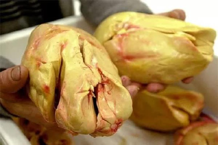 Sự thật tàn khốc về món ăn đắt đỏ bậc nhất thế giới chỉ dành cho giới nhà giàu, được coi là niềm tự hào ẩm thực nước Pháp  - Ảnh 5.