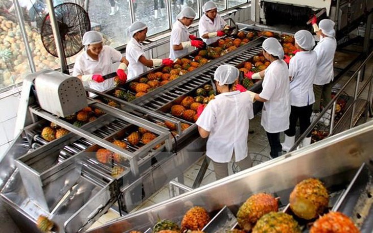 Phục hồi sản xuất nông nghiệp, "chạy đua" thực phẩm Tết